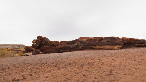 Giant-wood-log-with-arid-land-at-Petrified-Forest-National-Park,-panning-shot