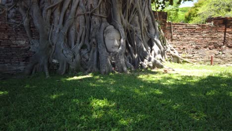 Static-Shot:-Buddha-Head-in-Tree-Roots-at-the-Old-The-Historic-City-of-Ayutthaya