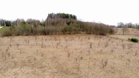 Brownfield-Land-In-Buszkowy-Gorne,-Northern-Poland-At-Daytime