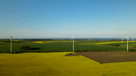 Drone-flies-up-over-Puck-wind-farm-park-on-rapeseed-and-wheat-fields,-aerial-daytime-Poland