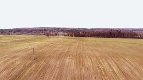 Vast-Farmfield-Surrounded-By-Thick-Forest-At-Daytime-In-Buszkowy-Gorne-Village