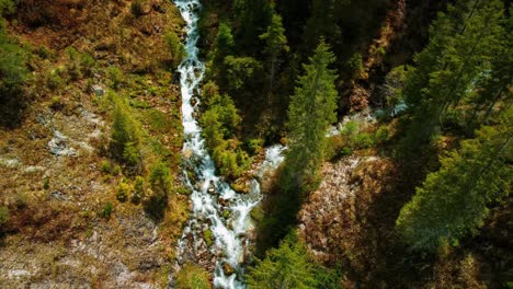 Aerial-cinemagraph-seamless-video-loop-of-two-vivid-and-idyllic-mountain-canyon-rivers-uniting-at-Elmau-with-fresh-blue-water-in-the-Bavarian-Austrian-alps,-flowing-down-a-natural-riverbed-along-trees