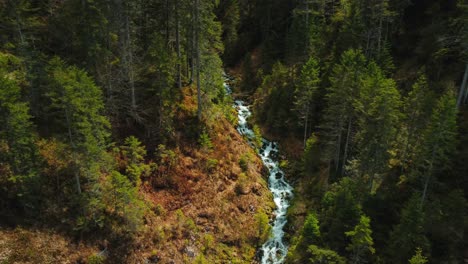 Aerial-cinemagraph-seamless-video-loop-of-a-vivid-and-idyllic-mountain-river-waterfall-canyon-at-Elmau-with-fresh-blue-water-in-the-Bavarian-Austrian-alps,-flowing-down-a-natural-riverbed-along-trees