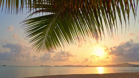 Tilt-down-over-tropical-paradise-beach-and-sea-with-palm-tree-at-sunset