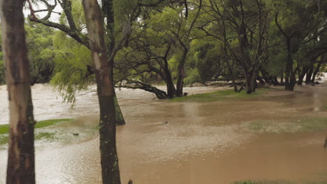 Überschwemmung-Des-Flusses-In-Lateinamerika