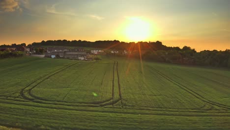 Golden-hour-with-sunbeams-hitting-a-green-crop-in-the-countryside-of-the-UK