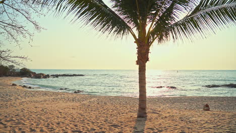 Palm-Tree-at-Beautiful,-Tropical-Beach,-Sunset-over-the-Sea