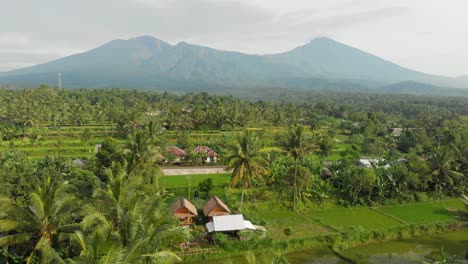 Lush-tropical-land-with-hazy-view-of-Mount-Rinjani-in-Lombok,-aerial