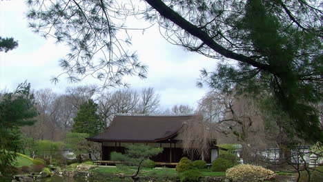 Long-shot-of-a-Japanese-house-framed-by-pine-tree-branches