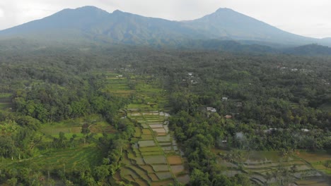 Volcano-Rinjani-in-Lombok-with-traditional-rice-paddy-terrace-below