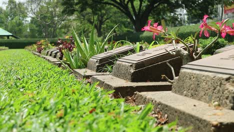 HD-statische-Aufnahme-Des-Gedenkfriedhofs-Des-Zweiten-Weltkriegs-Mit-Grabsteinen-Von-Kriegsgefangenen-Auf-Einem-Friedlichen-Friedhof-In-Kanchanaburi,-Thailand