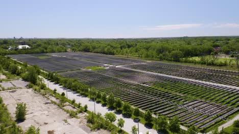 Aufnahme-Aus-Der-Vogelperspektive-Von-Sonnenkollektoren-Mit-Photovoltaikzellen-Zur-Erzeugung-Erneuerbarer-Energie