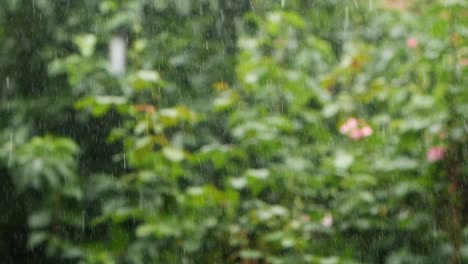 Slow-Motion-Of-Heavy-Rain-With-Blurred-Garden-In-The-Background