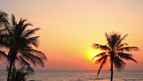 A-dramatic-fiery-red-and-orange-sunset-behind-a-windblown-coconut-palm-tree