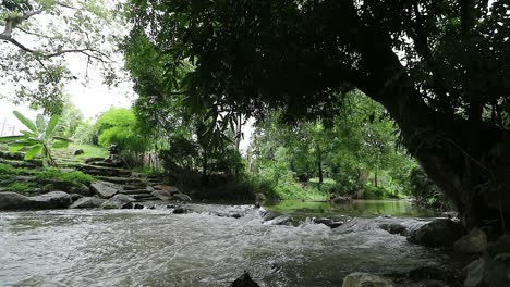 Agua-En-Movimiento-Rápido-Sobre-Rocas-En-Un-Río-Con-árboles-Colgantes-En-Tailandia