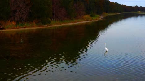 Peaceful-And-Calm-Lake-Illawarra-In-NSW,-Australia---aerial-drone-shot