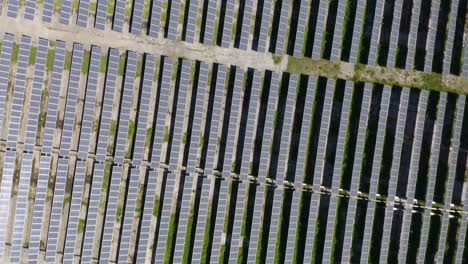 Vista-De-Arriba-Hacia-Abajo-De-La-Granja-De-Paneles-Solares-Que-Produce-Energía-Verde-Renovable-Para-Alimentar-Al-Mundo-Y-Reducir-Los-Impactos-Del-Cambio-Climático