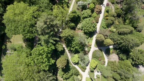 Top-down-aerial-of-paths-through-beautiful-green-park