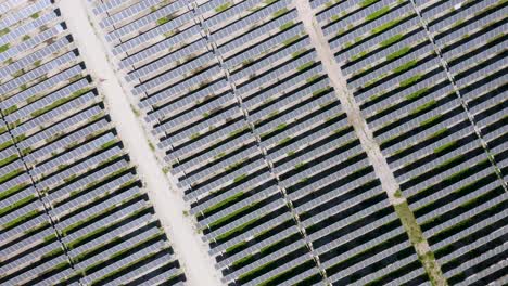 Top-Down-View-of-Solar-Power-Plant-in-Large-Field