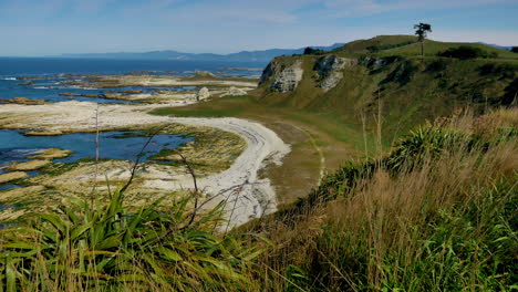 Wide-shot-of-coastline-with-islands-in-Kaikoura-during-sunny-day,New-Zealand