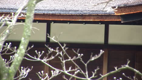 Roofline-of-Japanese-house-and-amado-wall-coverings-seen-through-tree-branches