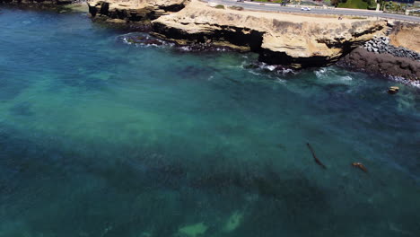 Ozean-Zur-Küste-Von-San-Diego-Stadt,-Die-Drohnenansicht,-Tropische-Landschaft-Hochkippt