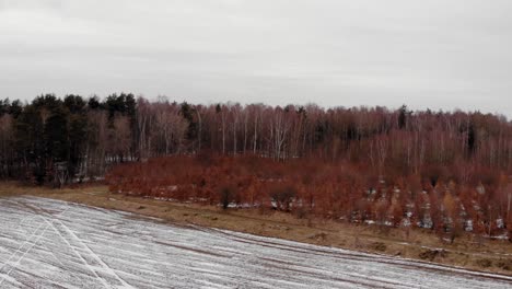 Brownfield-Covered-With-Snow-Next-To-The-Forest-On-A-Cloudy-Weather-In-Buszkowy-Gorne,-Poland