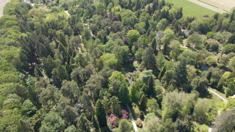 Aerial-of-large,-beautiful-park-with-green-trees