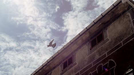 Dove-taking-off,-flying-from-roof-top-of-old-beautiful-house-in-Spanish-village,-Mallorca