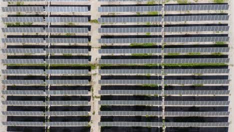 Draufsicht-Auf-Sonnenkollektoren,-Die-An-Heißen-Sommertagen-Saubere-Grüne-Erneuerbare-Energie-Aus-Der-Sonne-Erzeugen