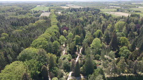 Ausleger-Des-Großen-Parks-Mit-Schönen-Grünen-Bäumen-Im-Sommer