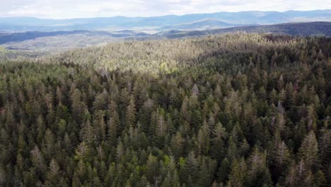 Aerial-drone-view-of-mountain-forest-with-overcast-weather-trucking-movement-4K