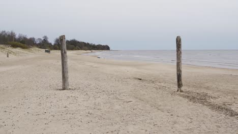 Wooden-poles-on-sandy-coastline-of-Baltic-sea-on-moody-day