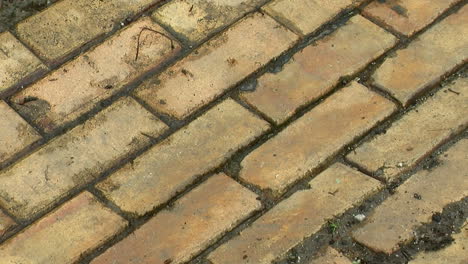 Yellowish-bricks-used-as-paving-material