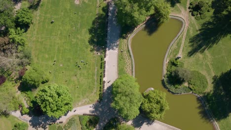 Top-View-Of-Danube-Park-In-The-Downtown-Of-Novi-Sad,-Serbia