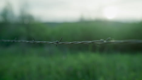 Barbed-Wire-Fence-Scenic-Landscape-in-Green-Field-Near-Forest-in-Colorado-Mountains