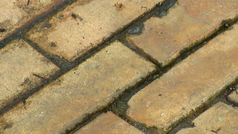 Close-up-of-brick-paving-slowly-zooms-out