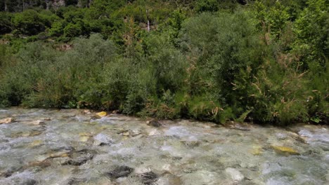 Transparent-clean-water-of-river-streaming-through-rocks-of-riverbed-with-lush-vegetation-background