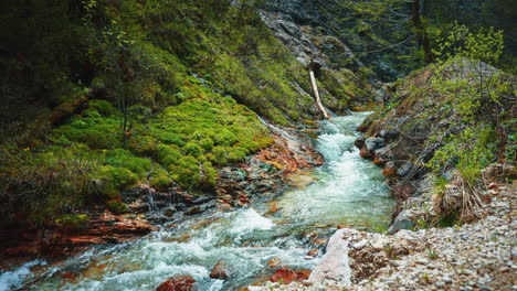 Cinemagraph-seamless-video-loop-of-a-scenic-and-idyllic-mountain-spring-river-waterfall-canyon-with-fresh-blue-water-in-the-natural-Bavarian-Austrian-alps,-flowing-down-a-green-nature-in-4K-UHD