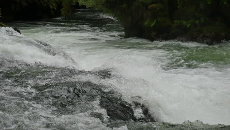 Tilt-up-low-angle-shot-of-flowing-and-splashing-tutea-falls-in-New-Zealand