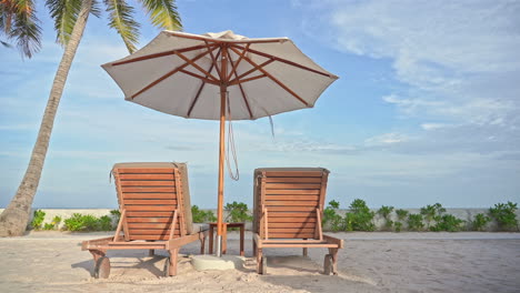 Sun-umbrella,-palm-tree-and-empty-deckchairs-on-the-beach