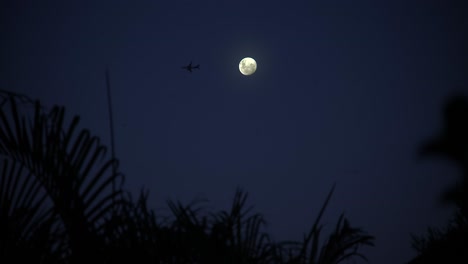 Wunderschöner-Nachtblick-Durch-Silhouettierte-Palmwedel-Zu-Einem-Klaren,-Tiefblauen-Nachthimmel-Mit-Hellem-Vollmond,-Während-Ein-Flugzeug-über-Das-Gesicht-Des-Mondes-Fliegt