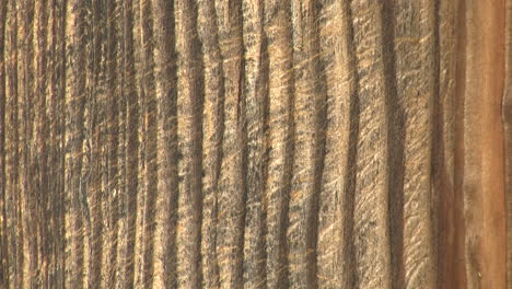 Close-up-of-deeply-furrowed-weathered-wood