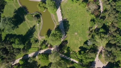 Drohnenansicht-Von-Oben-Nach-Unten-Auf-Einen-öffentlichen-Park-Mit-Einem-Teich-Und-Einigen-Fußgängerwegen