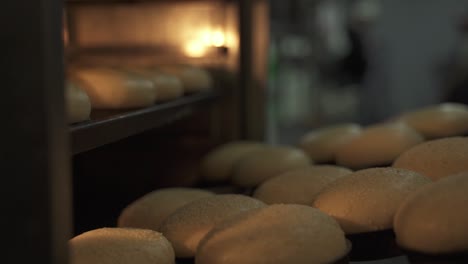 Zeitlupe-Eines-Tabletts-Mit-Brot,-Das-Zum-Backen-In-Einen-Ofen-Gestellt-Wird