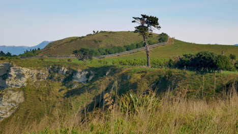 Panoramaaufnahme-Der-Idyllischen-Grünen-Landschaft-Neuseelands-Mit-Hügeln,-Felsen-Und-Blauem-Himmel