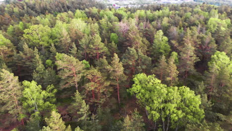 Luftaufnahme-Einer-Agroforstfarm-Mit-Gemischten-Bäumen,-Wunderschöne-Berglandschaft-Mit-Dorf-In-Der-Nähe