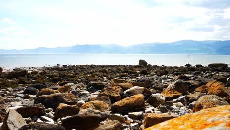 Colourful-variety-of-stone-boulders-beach-landscape-under-North-Wales-mountain-range-slow-dolly-right