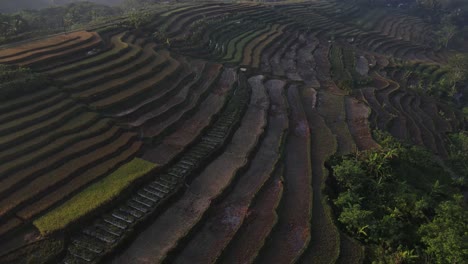 Aerial-view,-a-very-beautiful-view-of-the-terraced-rice-fields-in-the-Kajoran-district-of-Magelang-in-the-morning