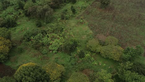 Vista-Aérea-De-La-Tierra-Agrícola-En-Arusha